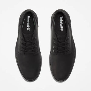 TB0A3ZUS Alden Brook